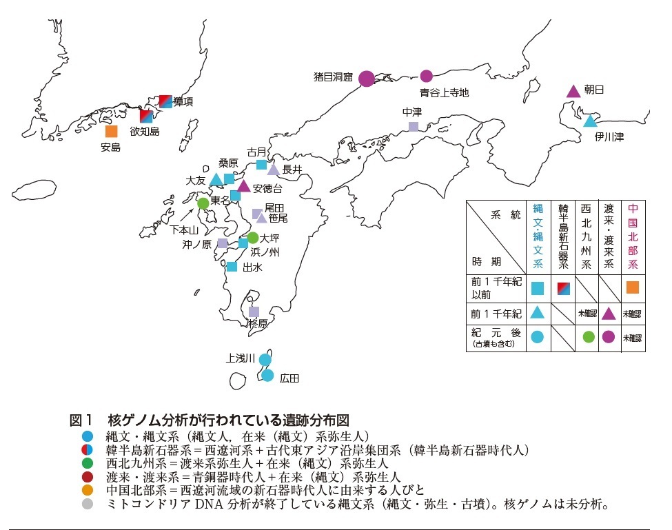 弥生時代の日本列島の人類集団の成立と展開: 雑記帳