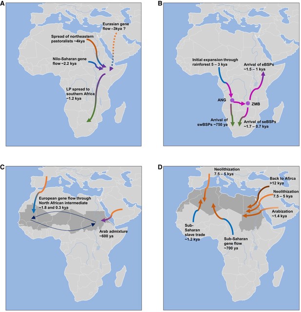 Pfennig et al.2023　アフリカ…